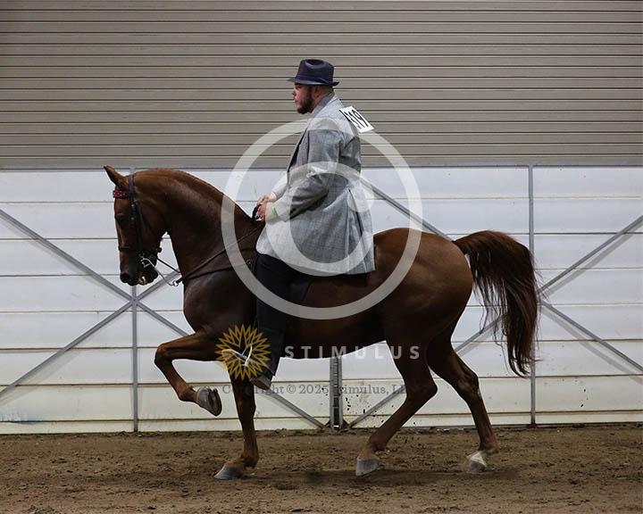 4. Park Pleasure Racking:Class-40000s0003IMG0089.jpg