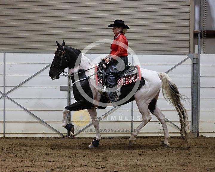 4. Park Pleasure Racking:Class-40000s0004IMG0084.jpg