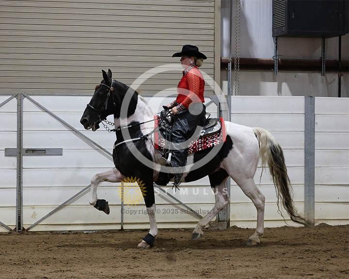 4. Park Pleasure Racking:Class-40000s0005IMG0082.jpg