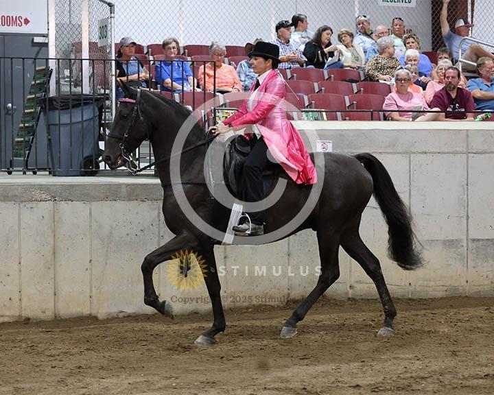 4. Park Pleasure Racking:Class-40000s0006IMG0075.jpg