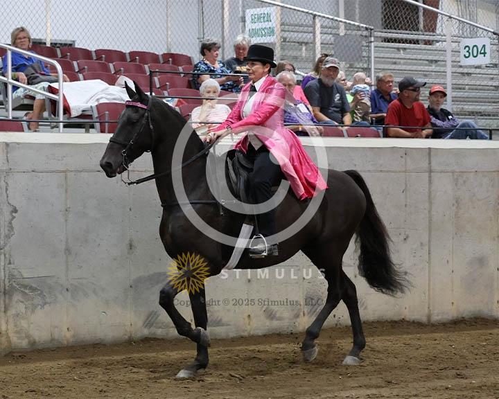 4. Park Pleasure Racking:Class-40000s0007IMG0074.jpg