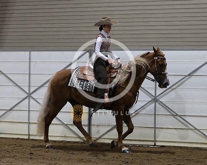 5. All Day Walking:Class-50000s0003IMG9740.jpg