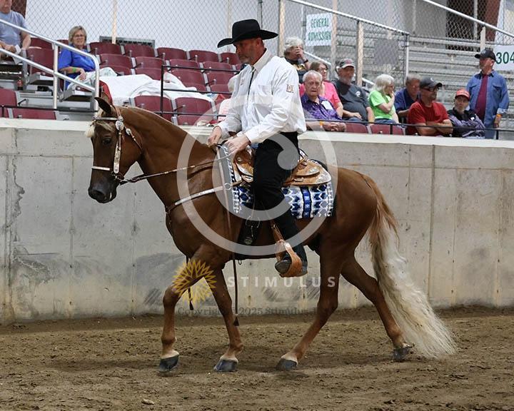 5. All Day Walking:Class-50000s0011IMG9709.jpg