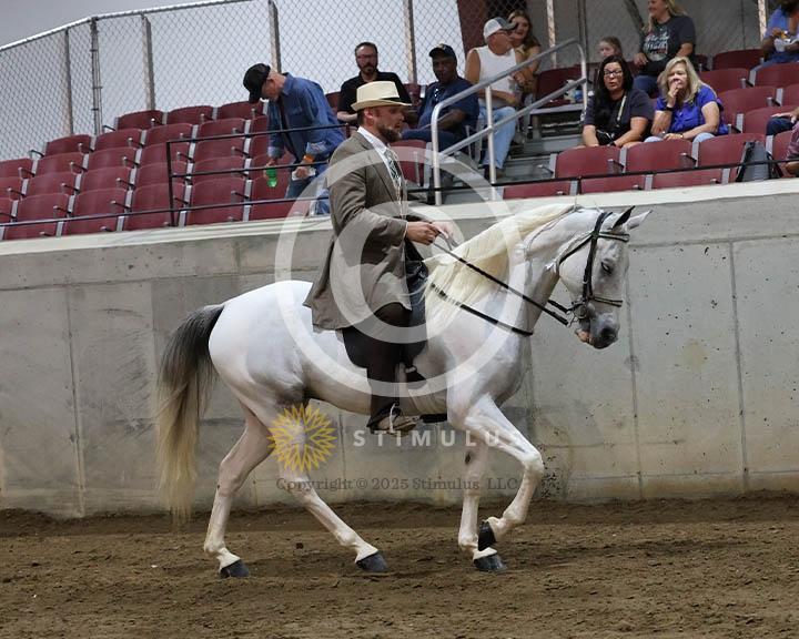 6. SSH Amateur Open Shod:Class-60000s0003IMG9778.jpg