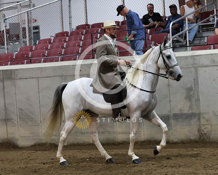 6. SSH Amateur Open Shod:Class-60000s0004IMG9776.jpg