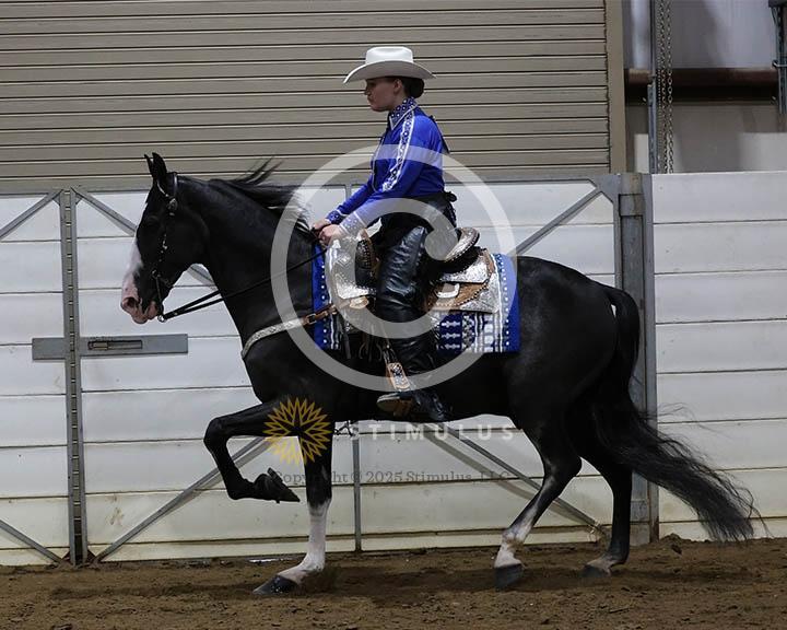 6. SSH Amateur Open Shod:Class-60000s0008IMG9764.jpg