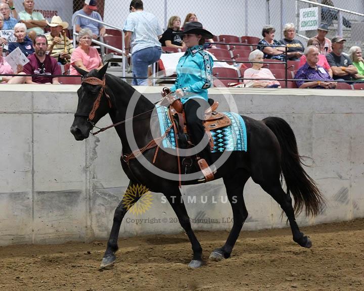 9. Trail Pleasure Racking Optional Tack:Class-90000s0001IMG9927.jpg