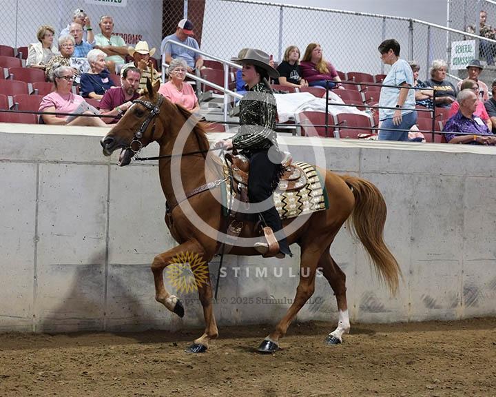 9. Trail Pleasure Racking Optional Tack:Class-90000s0002IMG9926.jpg