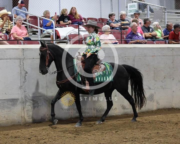 9. Trail Pleasure Racking Optional Tack:Class-90000s0003IMG9922.jpg