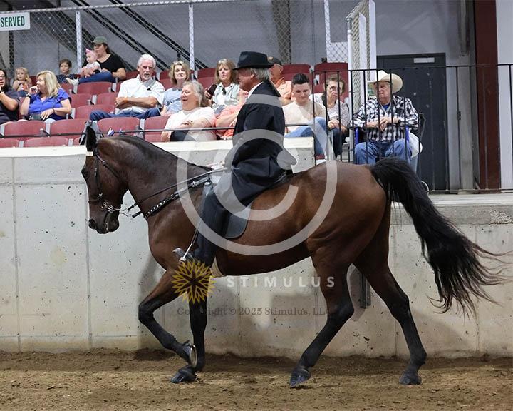 9. Trail Pleasure Racking Optional Tack:Class-90000s0005IMG9919.jpg