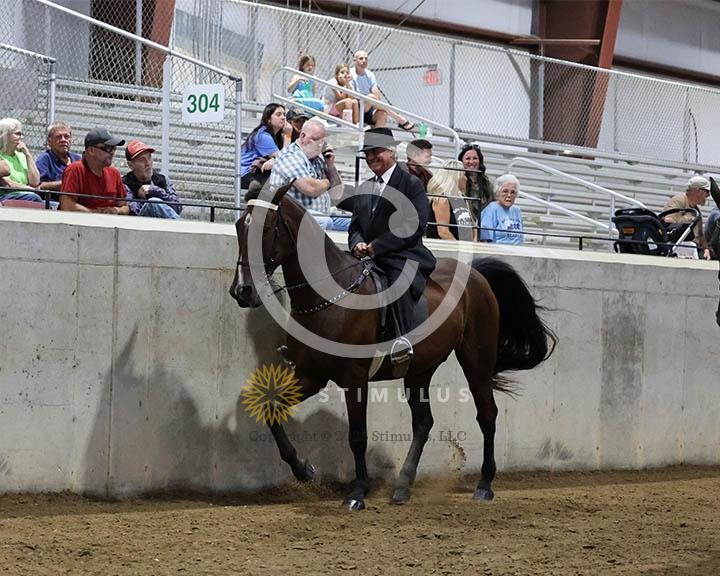 9. Trail Pleasure Racking Optional Tack:Class-90000s0006IMG9917.jpg