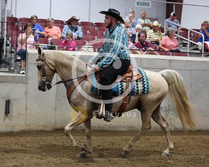 9. Trail Pleasure Racking Optional Tack:Class-90000s0007IMG9911.jpg