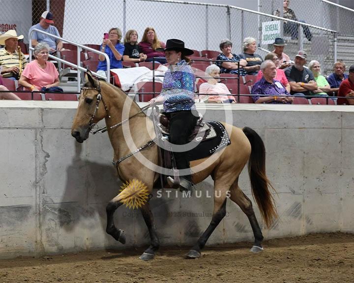 9. Trail Pleasure Racking Optional Tack:Class-90000s0008IMG9910.jpg