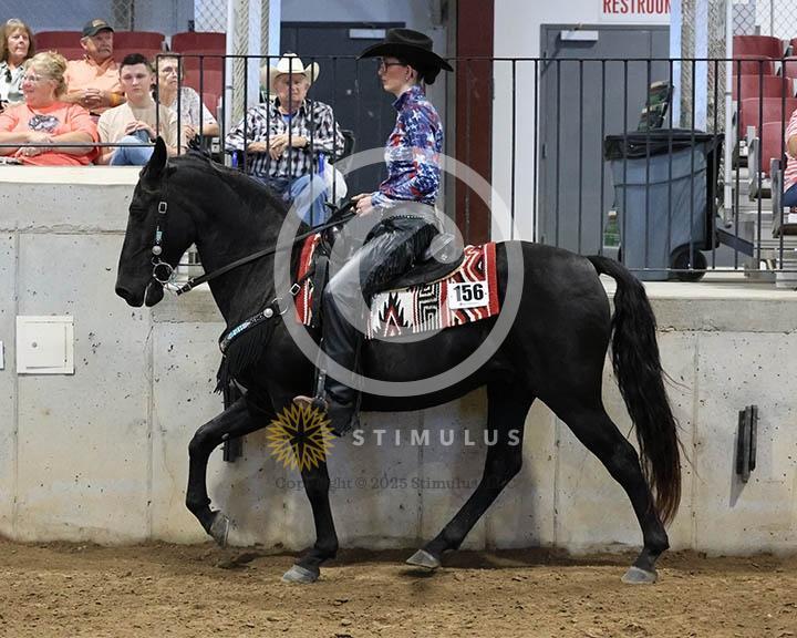 9. Trail Pleasure Racking Optional Tack:Class-90000s0009IMG9909.jpg