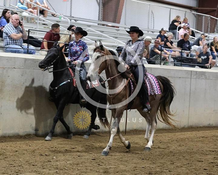 9. Trail Pleasure Racking Optional Tack:Class-90000s0010IMG9908.jpg