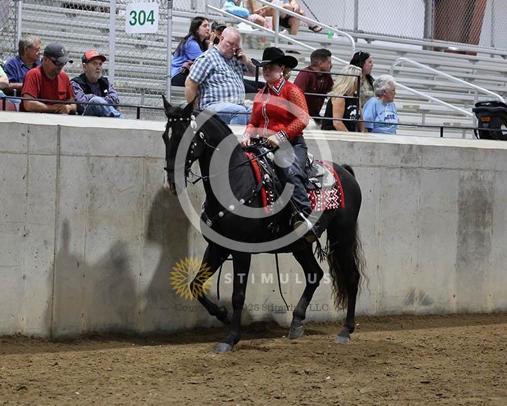 9. Trail Pleasure Racking Optional Tack:Class-90000s0011IMG9906.jpg