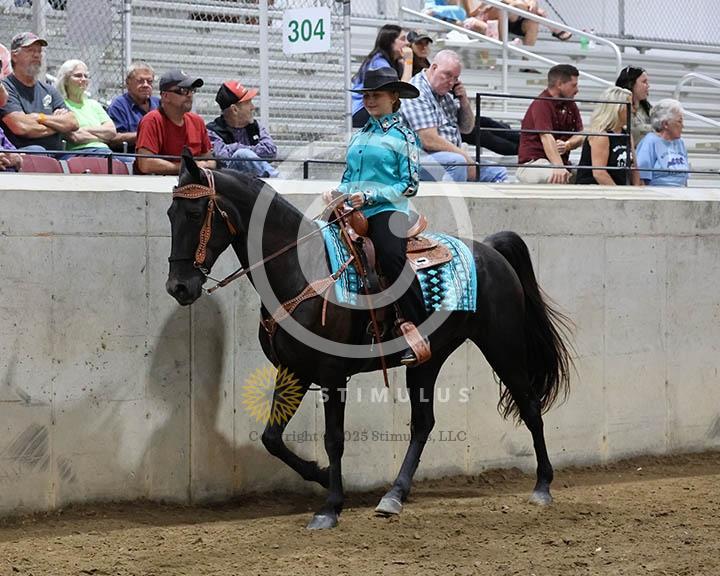 9. Trail Pleasure Racking Optional Tack:Class-90000s0012IMG9901.jpg