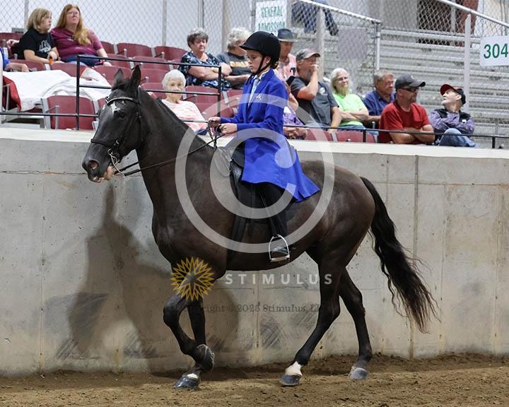 9. Trail Pleasure Racking Optional Tack:Class-90000s0013IMG9897.jpg