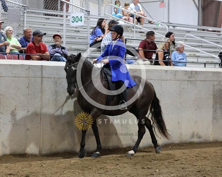 9. Trail Pleasure Racking Optional Tack:Class-90000s0014IMG9894.jpg