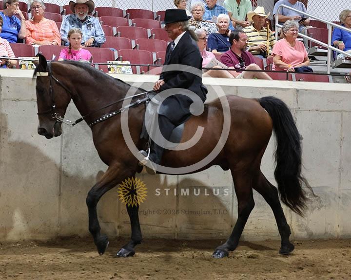 9. Trail Pleasure Racking Optional Tack:Class-90000s0016IMG9887.jpg