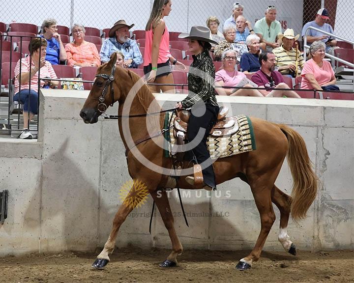 9. Trail Pleasure Racking Optional Tack:Class-90000s0017IMG9884.jpg