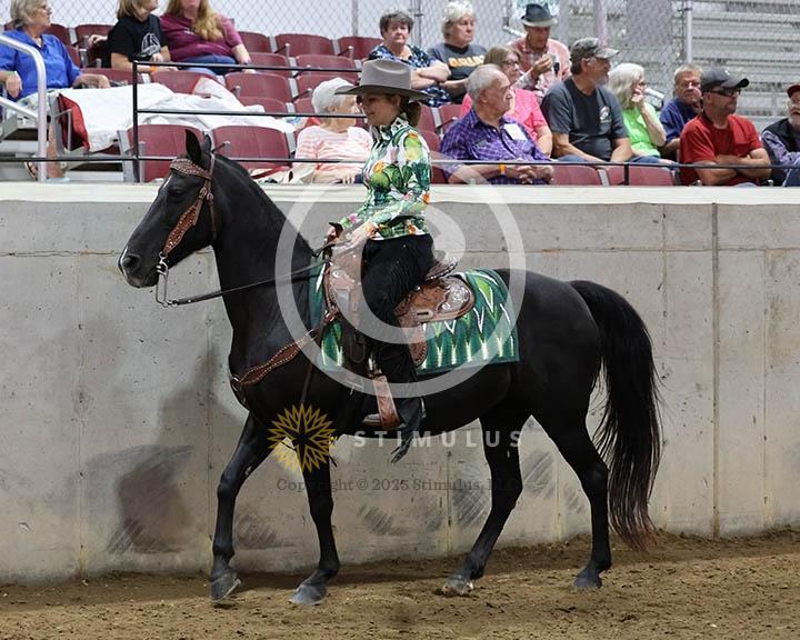 9. Trail Pleasure Racking Optional Tack:Class-90000s0018IMG9882.jpg