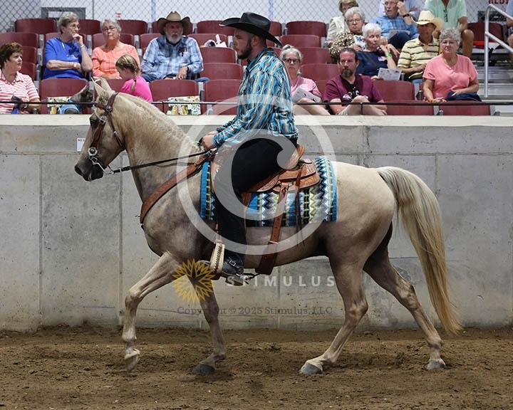 9. Trail Pleasure Racking Optional Tack:Class-90000s0019IMG9881.jpg