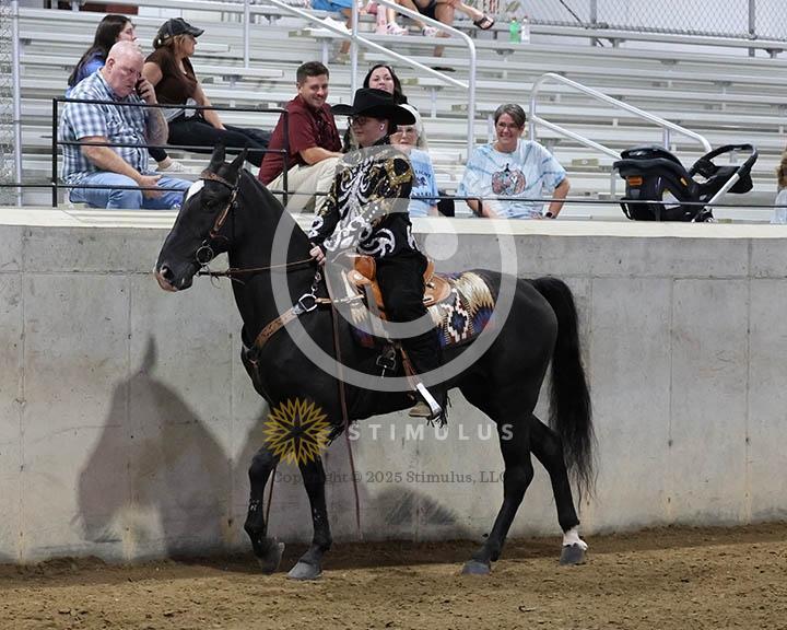 9. Trail Pleasure Racking Optional Tack:Class-90000s0020IMG9877.jpg