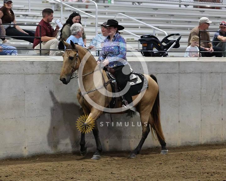 9. Trail Pleasure Racking Optional Tack:Class-90000s0021IMG9875.jpg