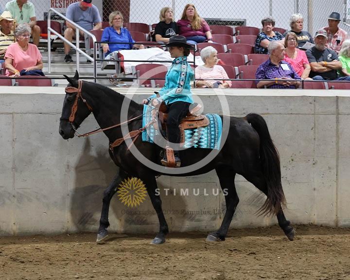 9. Trail Pleasure Racking Optional Tack:Class-90000s0024IMG9868.jpg