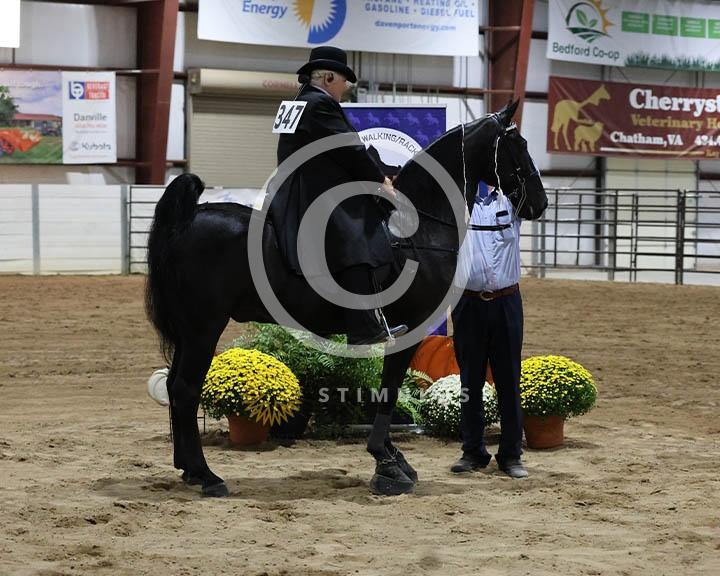 10. NC Members Only Walking Specialty:Class-100000s0002IMG9972.jpg