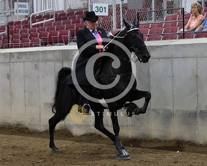 10. NC Members Only Walking Specialty:Class-100000s0003IMG9970.jpg