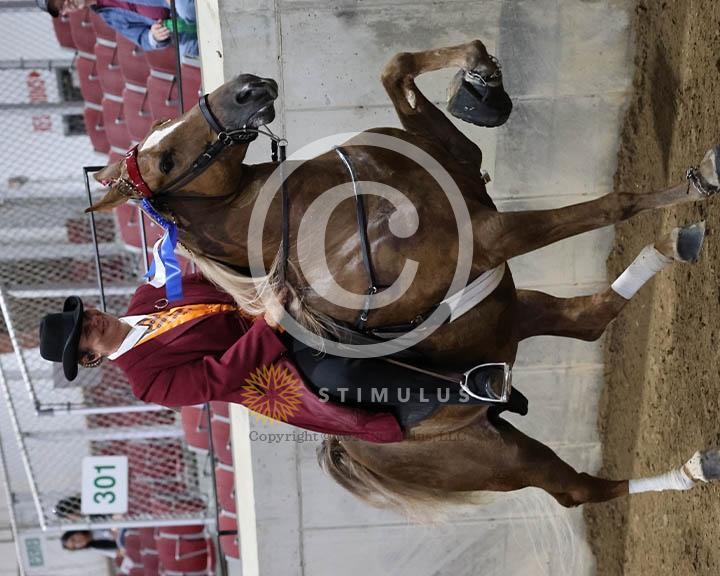 7. 15.2 Amateur Specialty