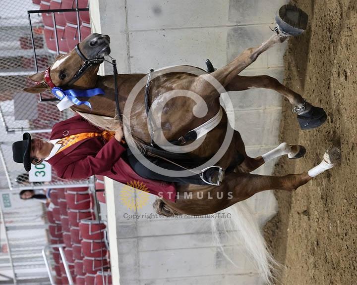 7. 15.2 Amateur Specialty:Class-70000s0001IMG9844.jpg