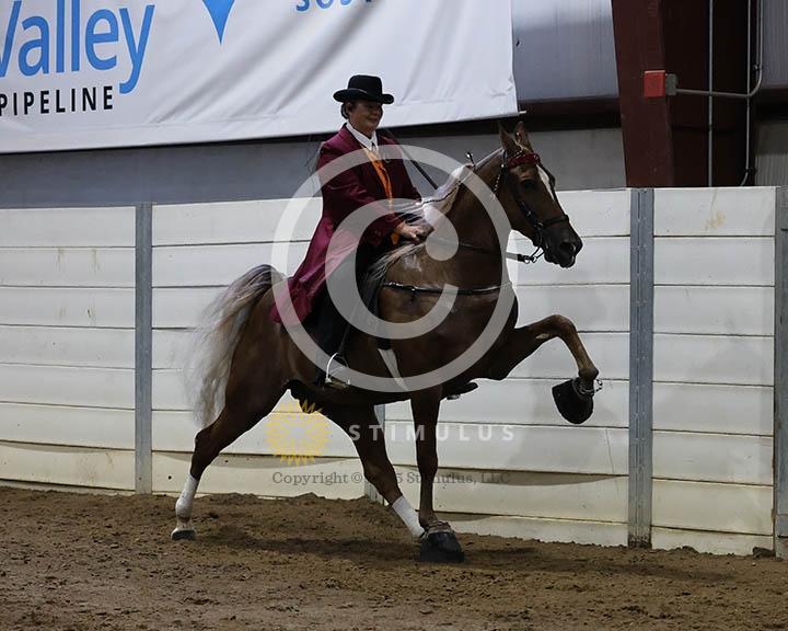 7. 15.2 Amateur Specialty:Class-70000s0004IMG9829.jpg