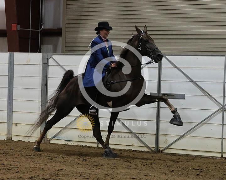 7. 15.2 Amateur Specialty:Class-70000s0005IMG9818.jpg