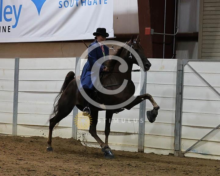 7. 15.2 Amateur Specialty:Class-70000s0006IMG9814.jpg