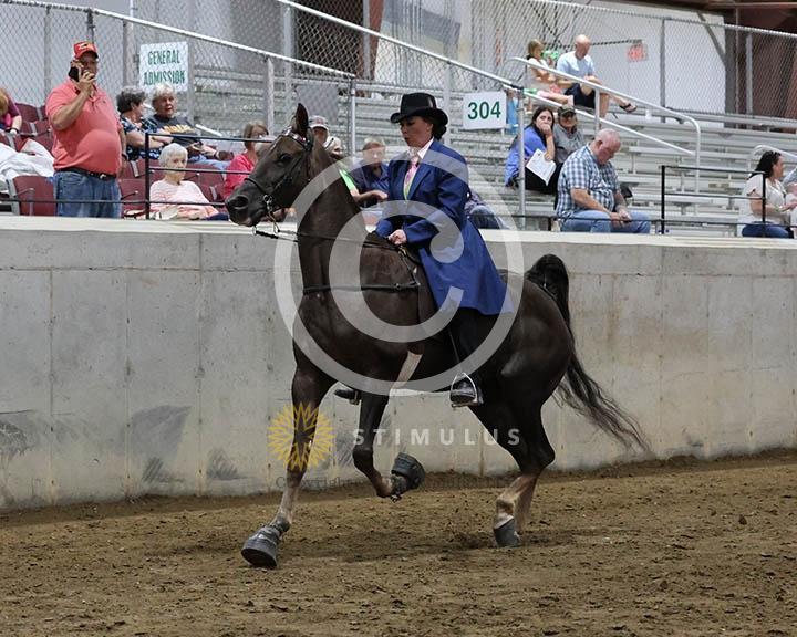 7. 15.2 Amateur Specialty:Class-70000s0008IMG9803.jpg