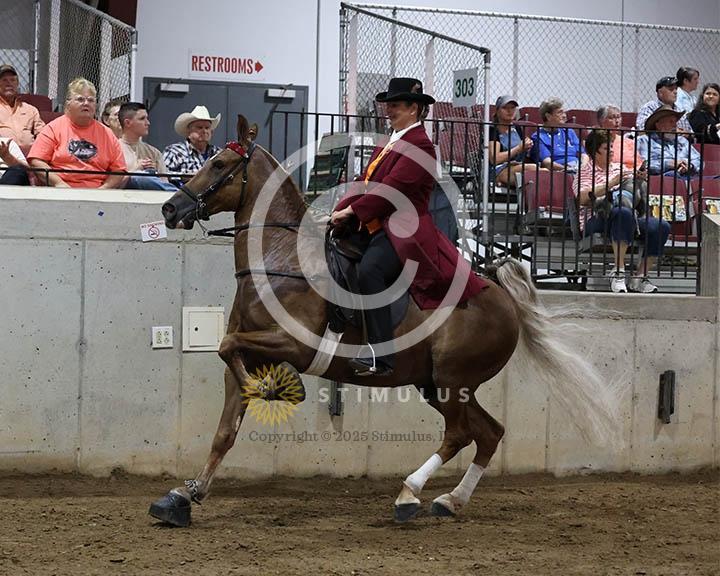 7. 15.2 Amateur Specialty:Class-70000s0009IMG9800.jpg