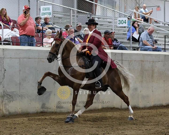 7. 15.2 Amateur Specialty:Class-70000s0010IMG9794.jpg