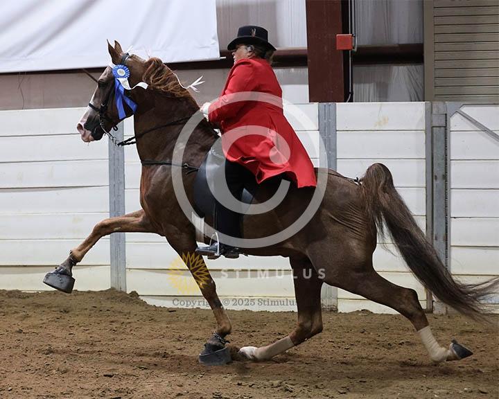 15. Ladies Walking Amateur Specialty