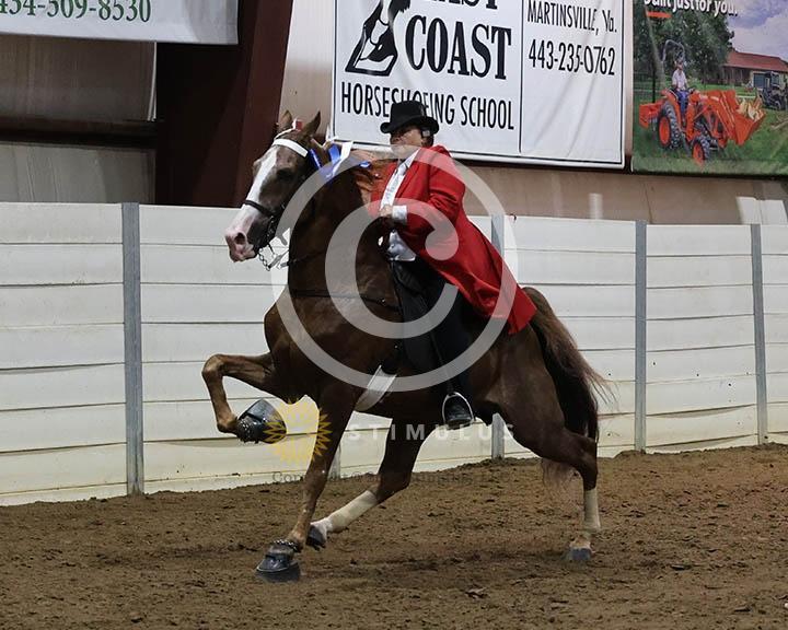15. Ladies Walking Amateur Specialty:Class-150002s0001IMG0122.jpg