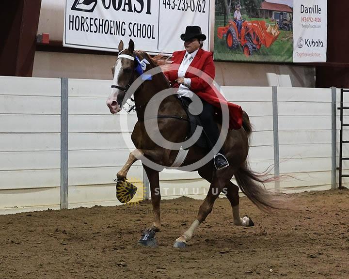 15. Ladies Walking Amateur Specialty:Class-150002s0002IMG0120.jpg