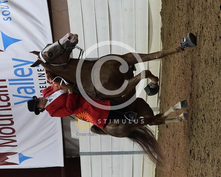15. Ladies Walking Amateur Specialty:Class-150002s0005IMG0103.jpg