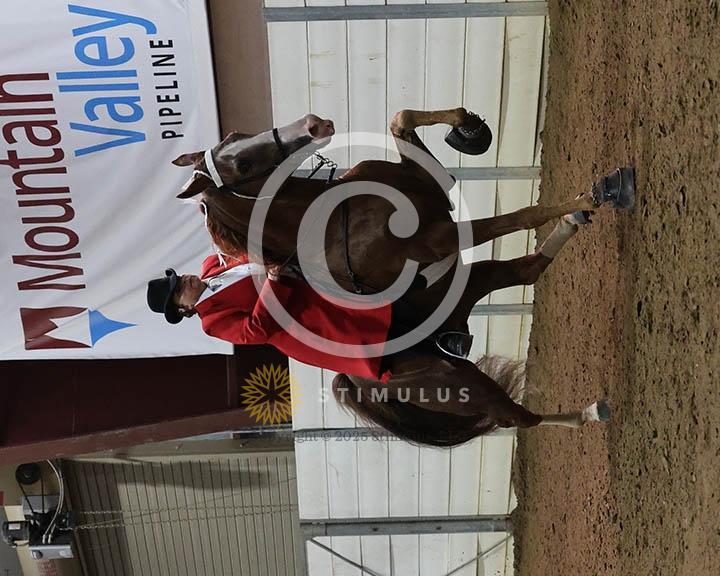 15. Ladies Walking Amateur Specialty:Class-150002s0006IMG0101.jpg