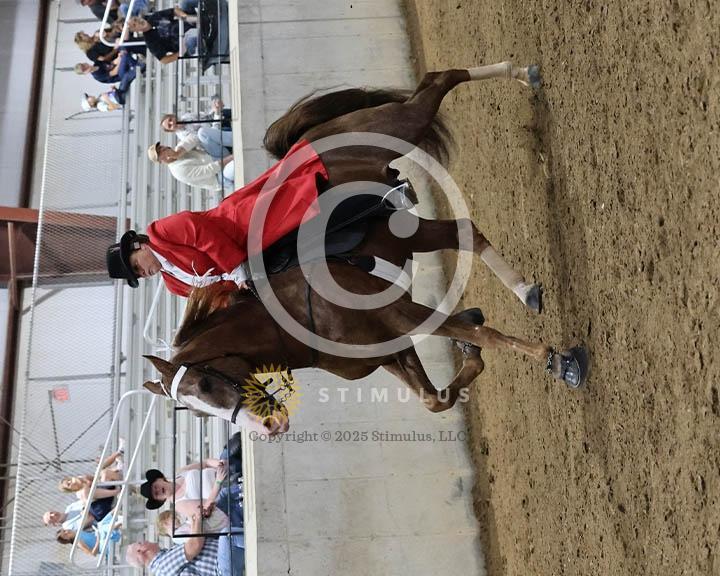 15. Ladies Walking Amateur Specialty:Class-150002s0007IMG0096.jpg
