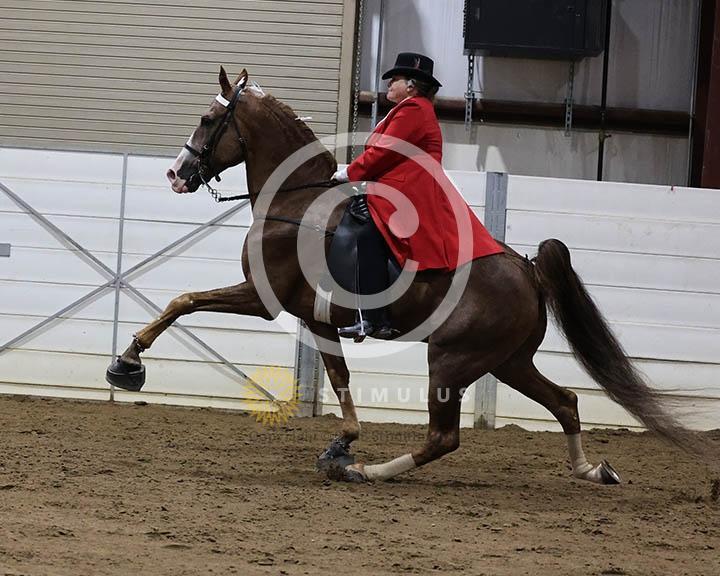 15. Ladies Walking Amateur Specialty:Class-150002s0008IMG0092.jpg