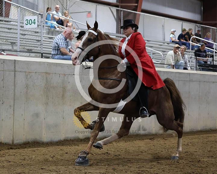 15. Ladies Walking Amateur Specialty:Class-150002s0010IMG0077.jpg