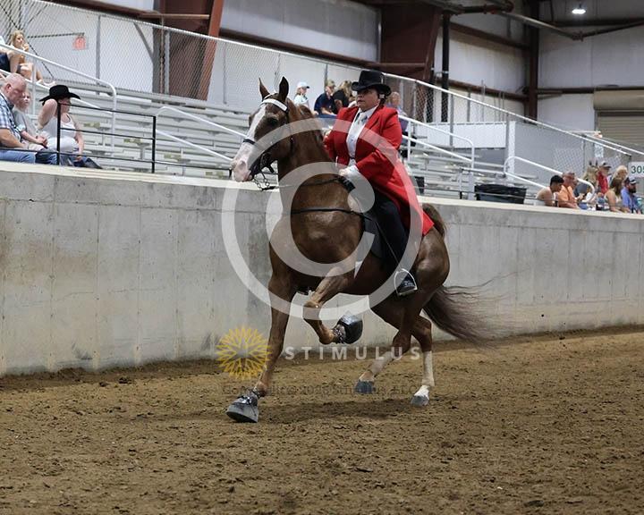 15. Ladies Walking Amateur Specialty:Class-150002s0011IMG0074.jpg