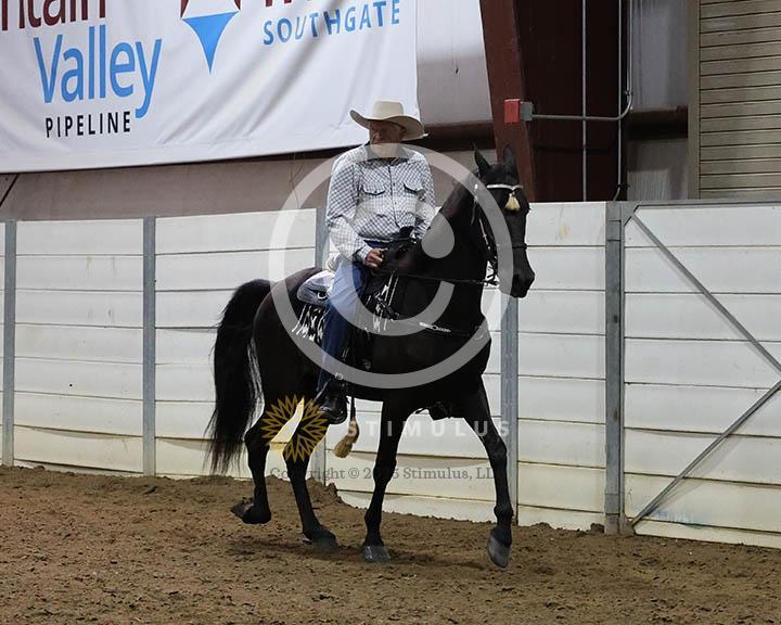 14. Amateur Trail Pleasure Walking English